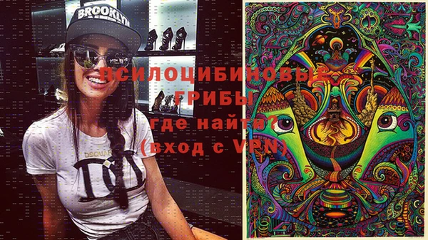 apvp Алзамай