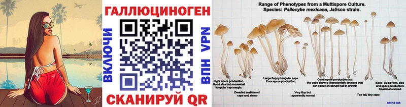 Галлюциногенные грибы Psilocybine cubensis  кракен ONION  Дудинка 